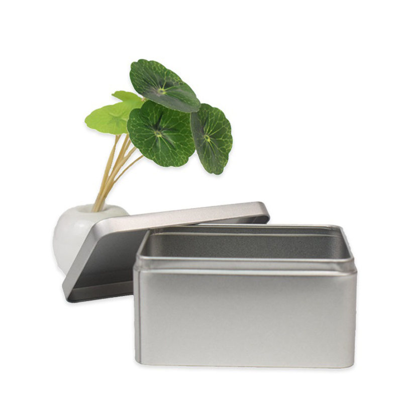 Mini boîte en fer blanc Regina - Oxide Pigment Soap avis et prix